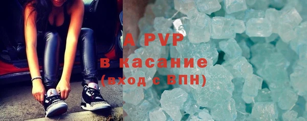 индика Бородино