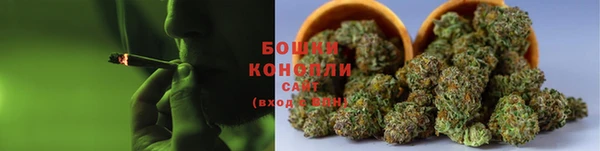индика Бородино