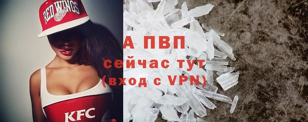 индика Бородино