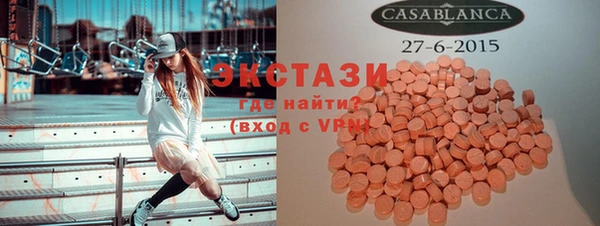 индика Бородино