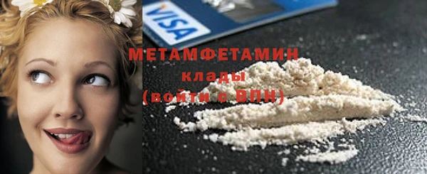 индика Бородино