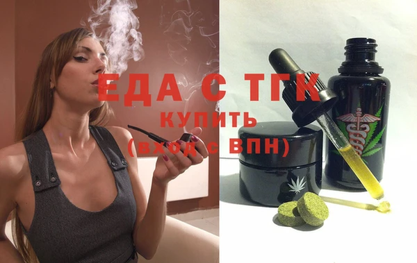 индика Бородино