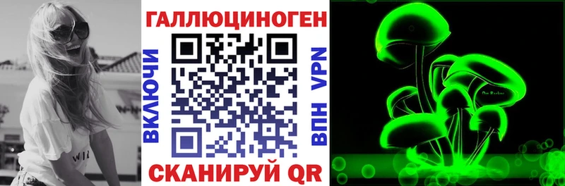 дарнет шоп  Верещагино  Псилоцибиновые грибы Cubensis 